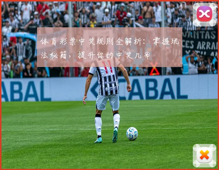 体育彩票中奖规则全解析：掌握玩法秘籍，提升你的中奖几率